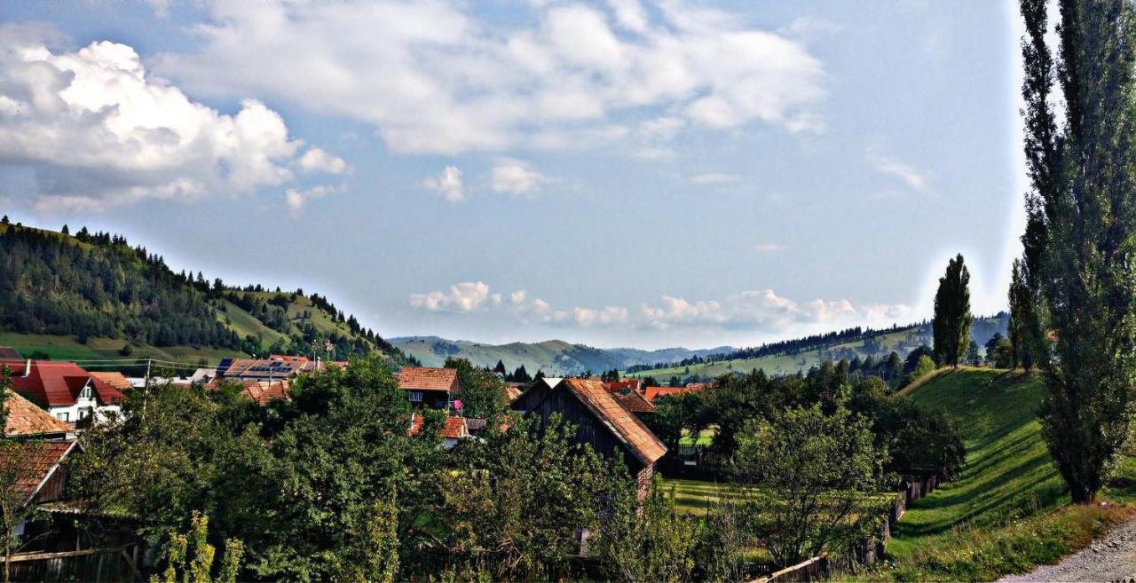 Picnic Panzio Bed & Breakfast Lunca de Sus Eksteriør bilde