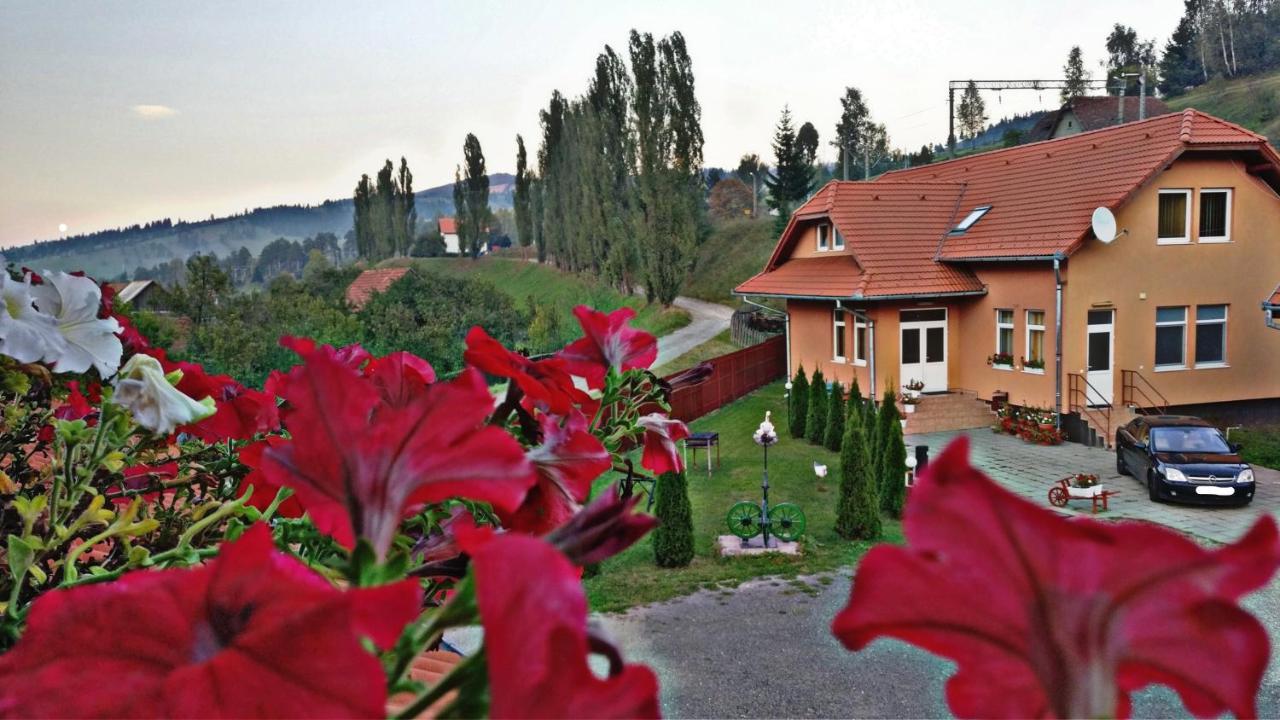Picnic Panzio Bed & Breakfast Lunca de Sus Eksteriør bilde