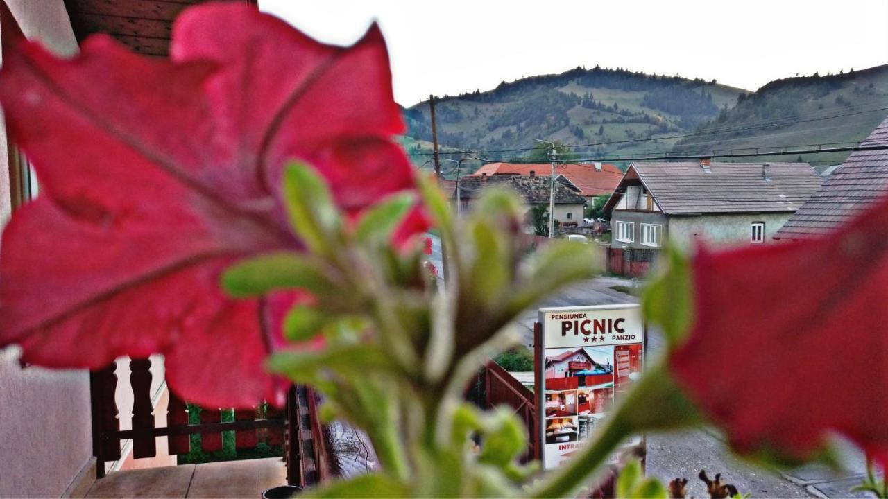 Picnic Panzio Bed & Breakfast Lunca de Sus Eksteriør bilde